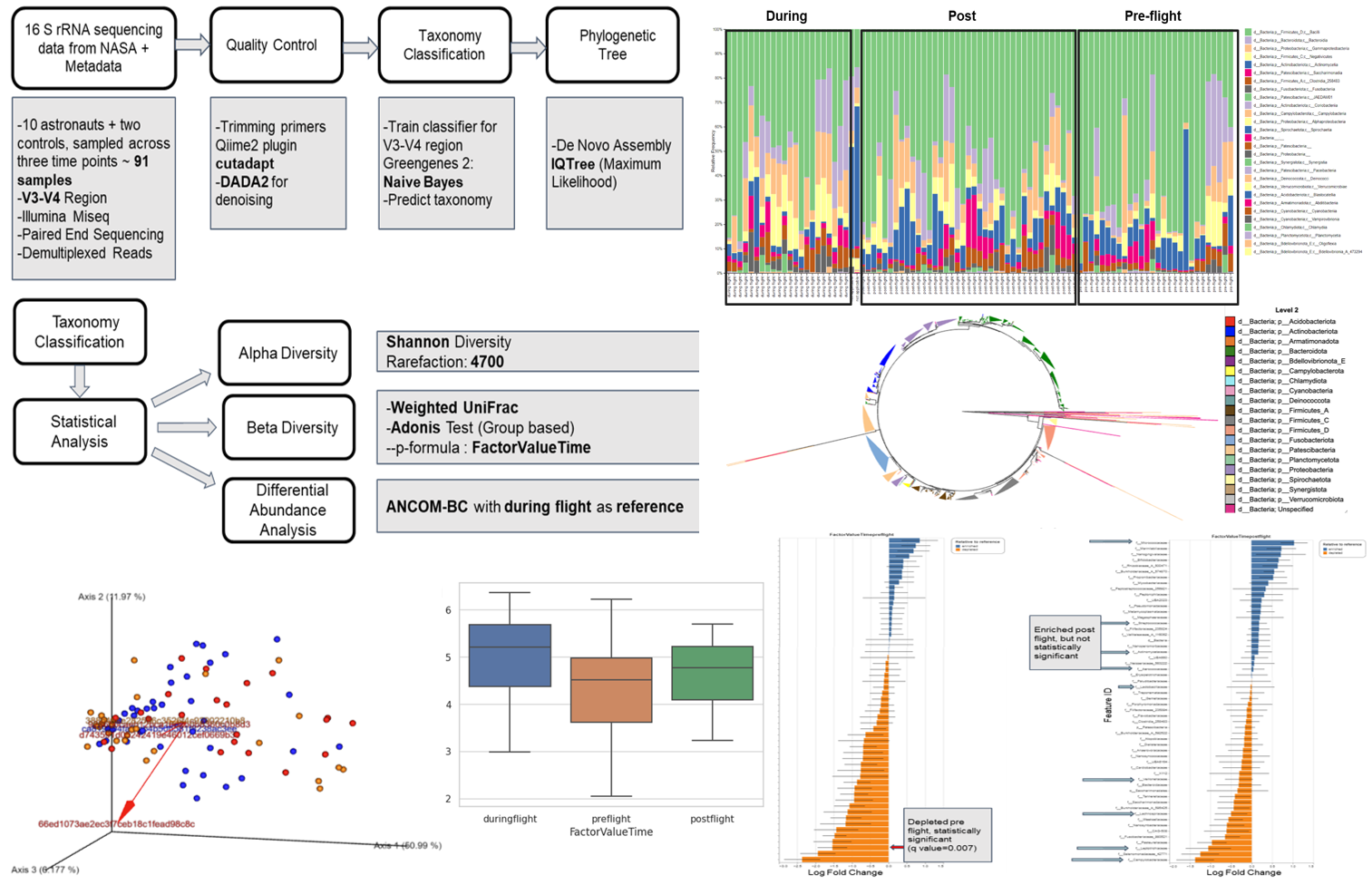 Graph showing astronaut salivary microbiome analysis